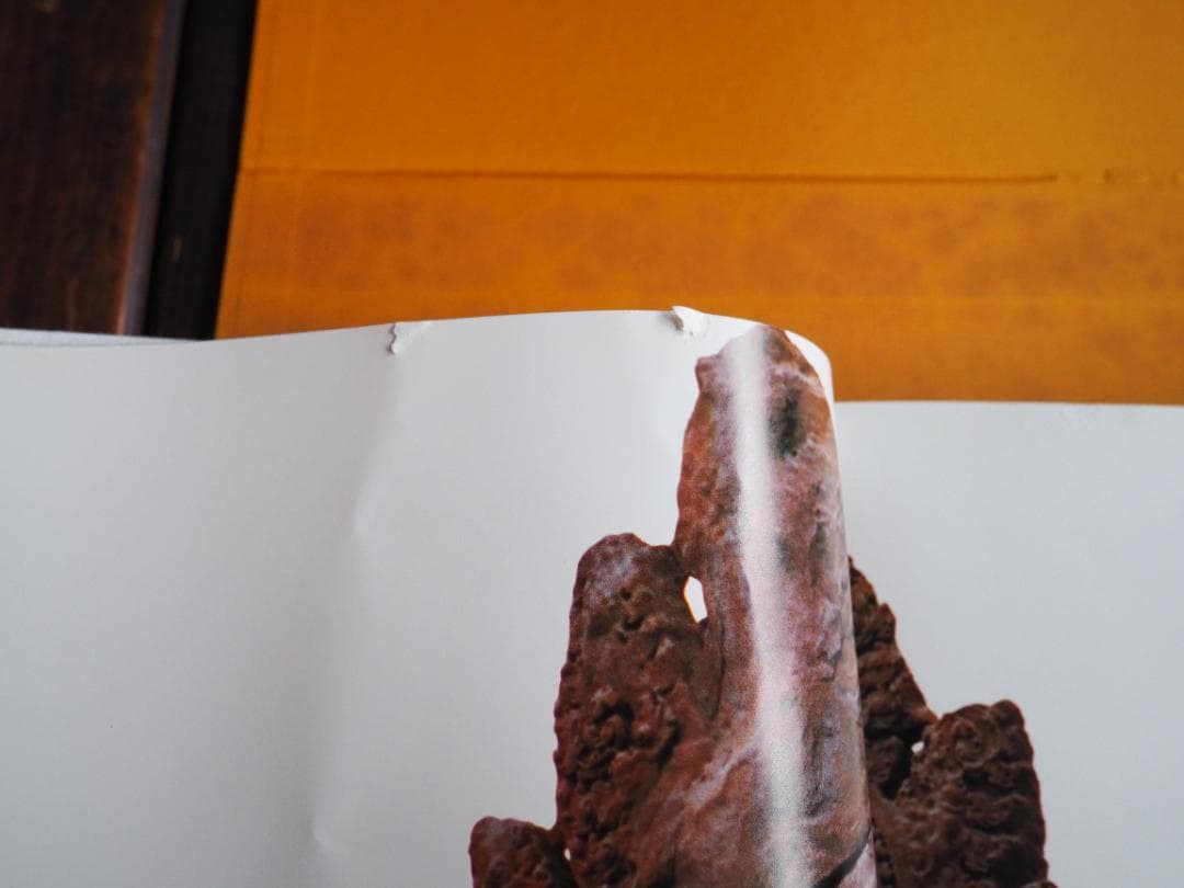 仏陀巡礼: 並河万里写真集 大型本 並河万里 (著)