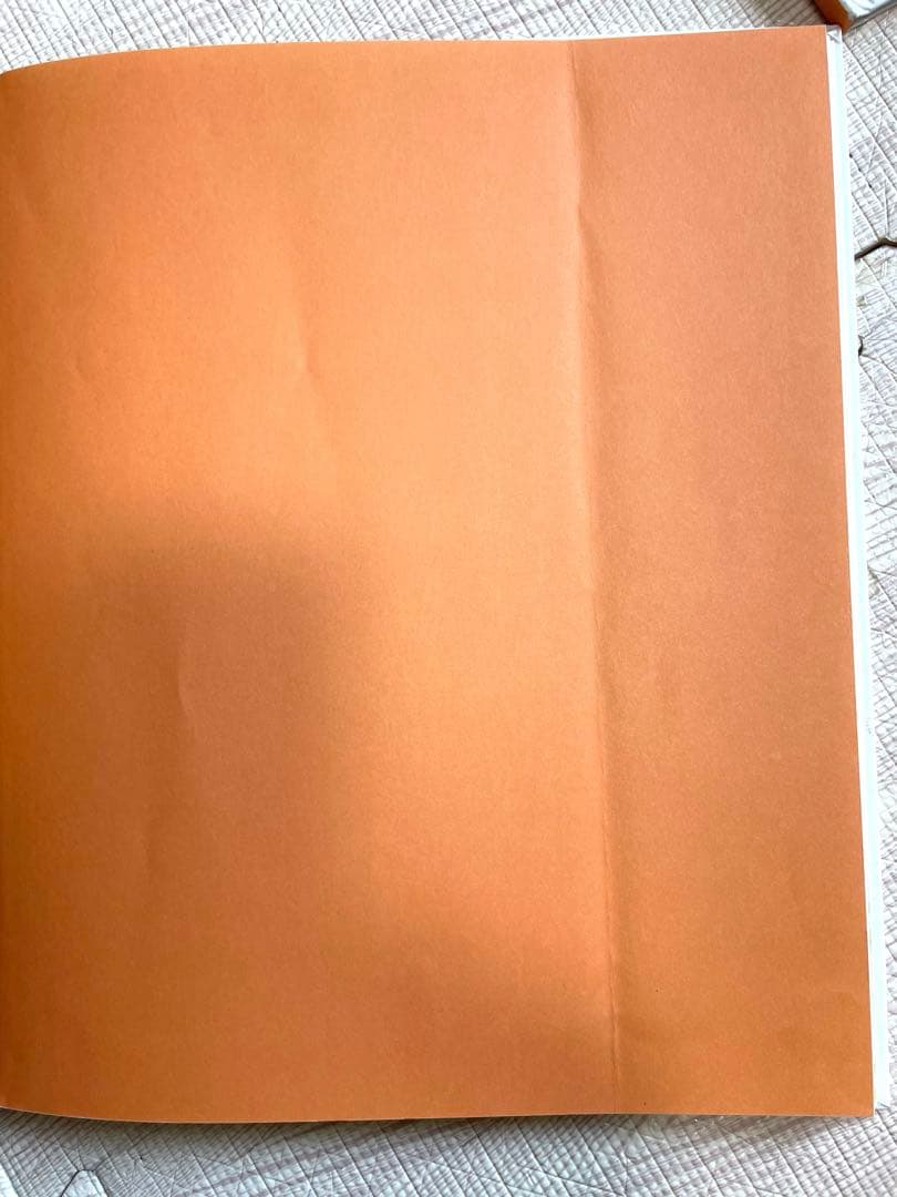 名作・人気絵本 40冊セット　ぐりとぐら 林明子 どんぐりむら ほか まとめ売り