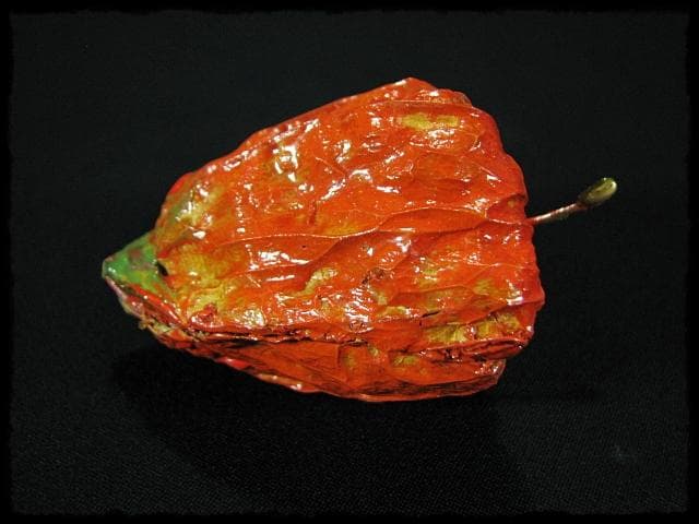 名工 田中 篁秋 鬼灯 ほうづき 宝月 香合 茶道具 e140