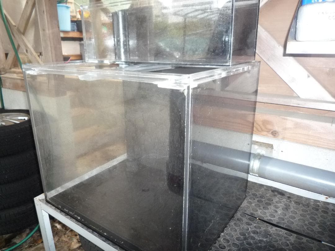 特注　60×45×H50ｃｍ　オール10ｍｍ　アクリル水槽 使用期間18ヶ月