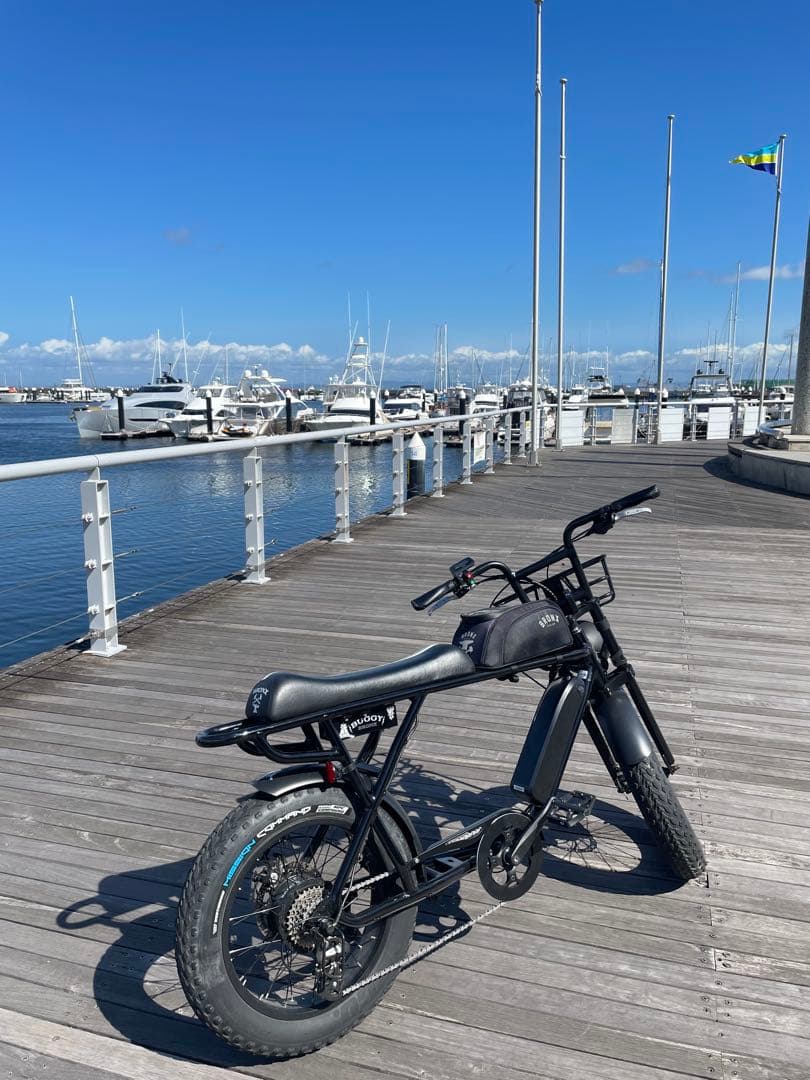 【横浜市引き取り限定】BRONX BUGGY ブロンクスバギー