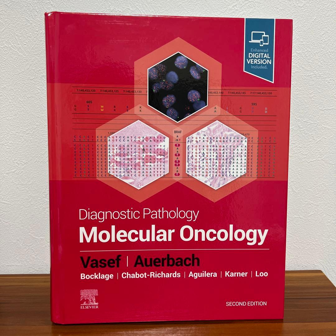 語学・辞書・学習参考書 Molecular Oncology