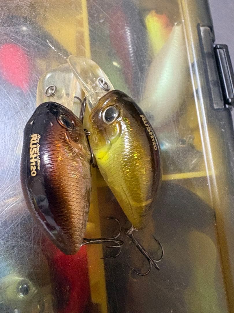 DUO RUSH60 120セット