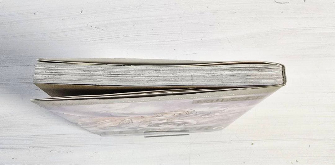 CLUSTER 第6章 初版 秋山たまよ 匿名配送・翌日発送