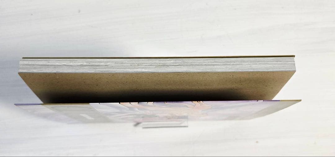 CLUSTER 第6章 初版 秋山たまよ 匿名配送・翌日発送