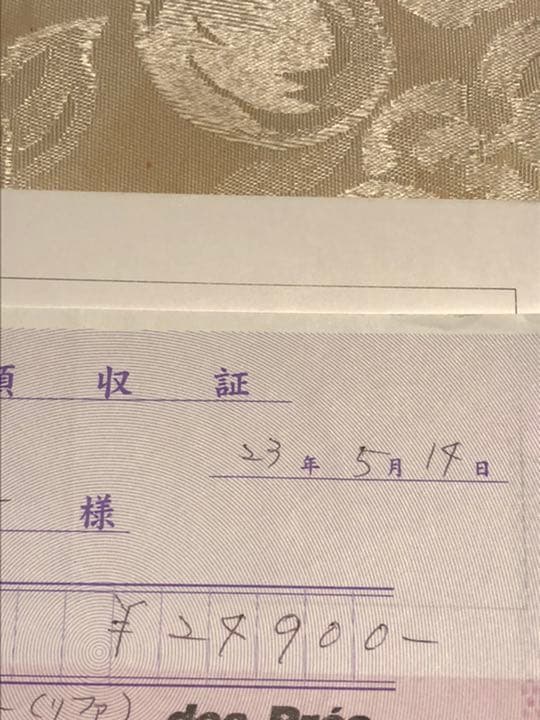 MTG ReFa－Pro  プラチナ電子ローラー