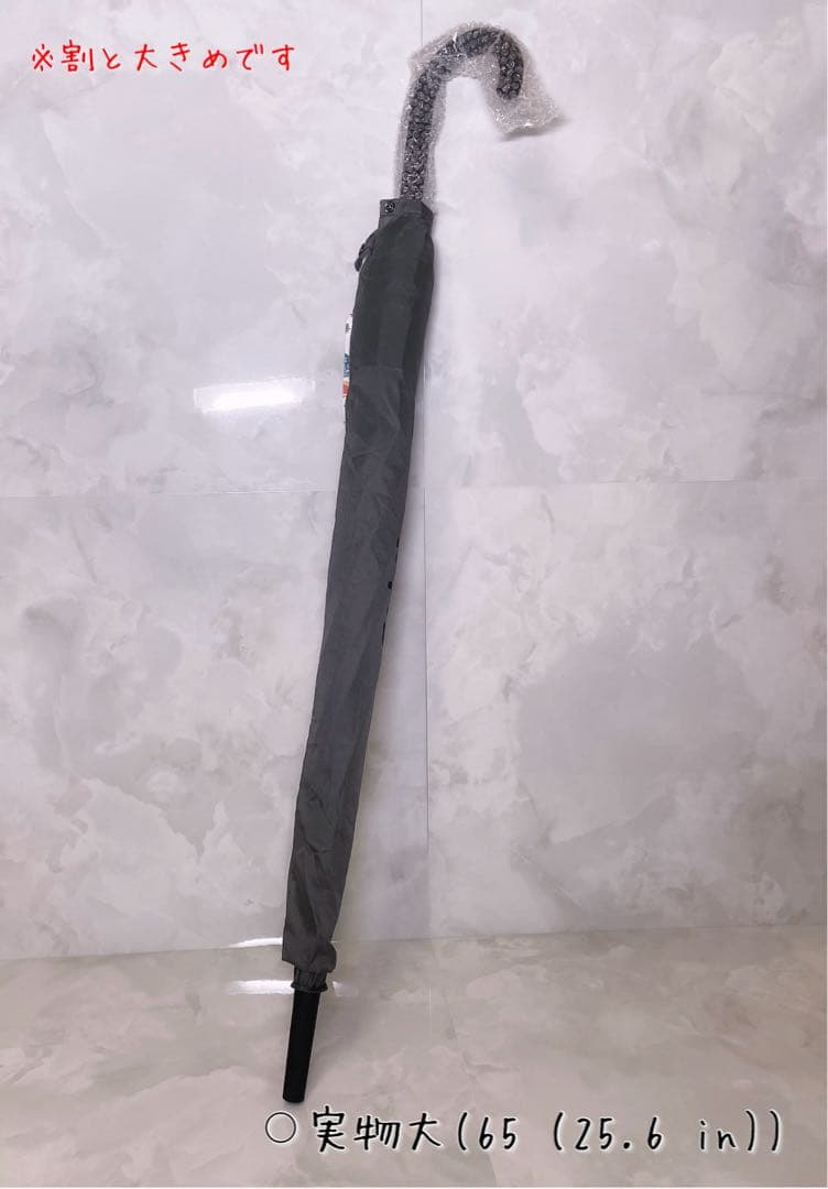 SEVENTEEN アーティストメイド エスクプス 傘(新品未使用:現品のみ)