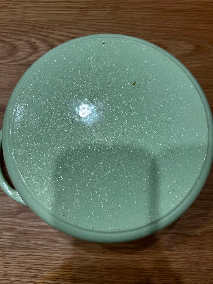 VERMICULAR バーミキュラ　オーブンポット #22 パールグリーン