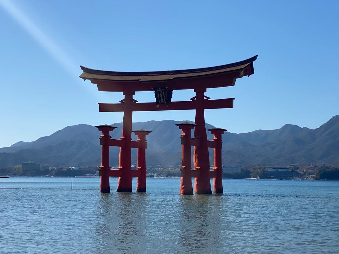 HIKE★10/31 〜11/1発送不可