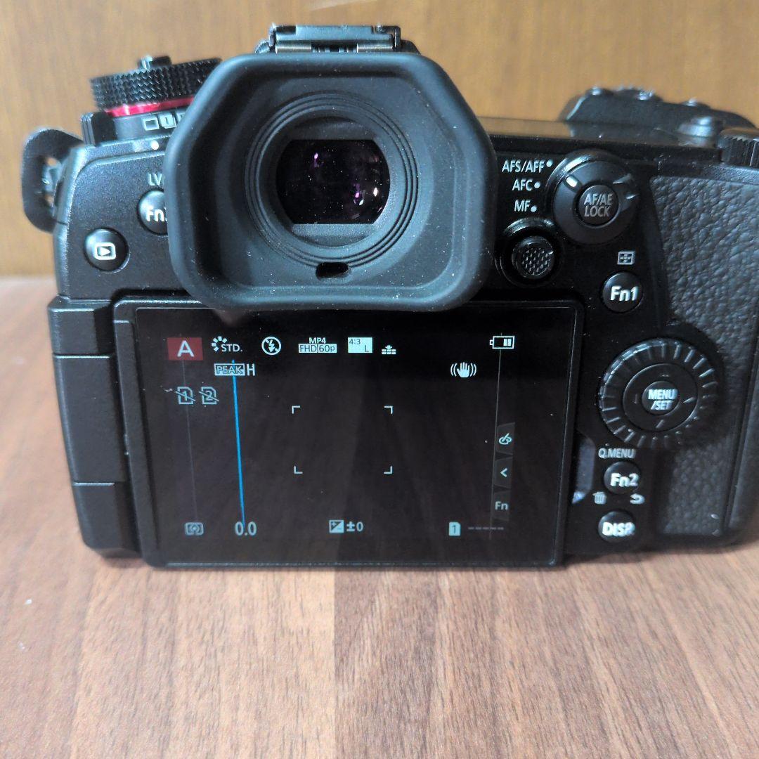 LUMIX G9 ミラーレス一眼カメラ 本体