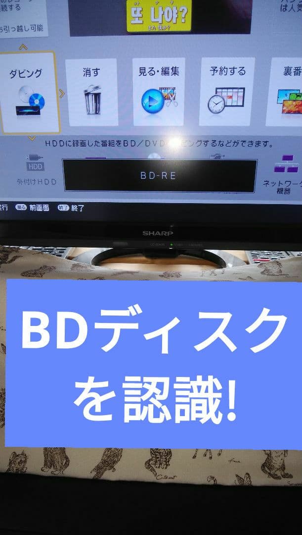 2021年モデルシャープ2B-C10DW1/二番組同録・4K再生可/実動/純リモ
