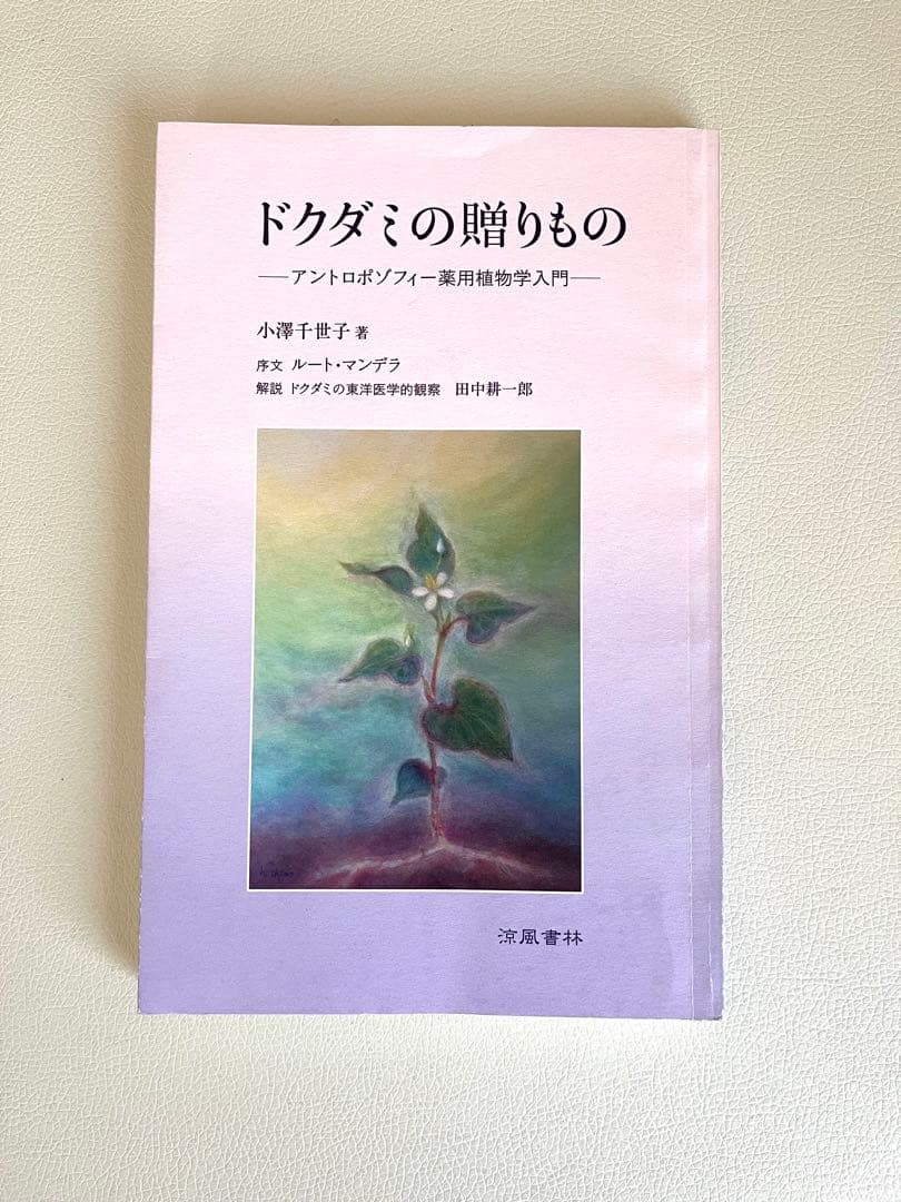 ドクダミの贈りもの　アンポロトゾフィー