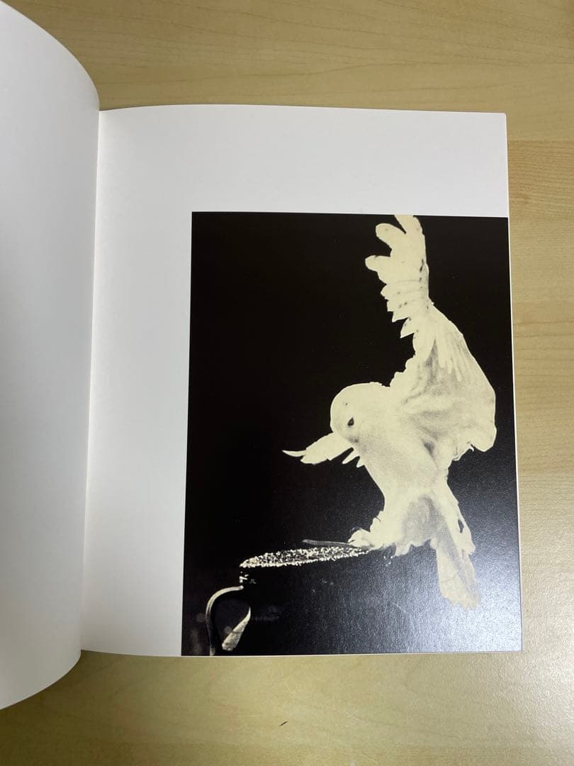 アート・デザイン・音楽 Masao Yamamoto Tori signed