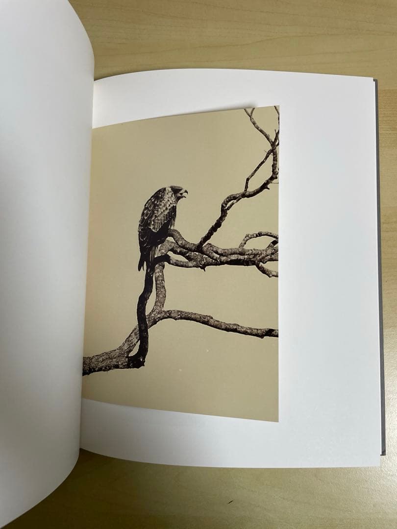 アート・デザイン・音楽 Masao Yamamoto Tori signed