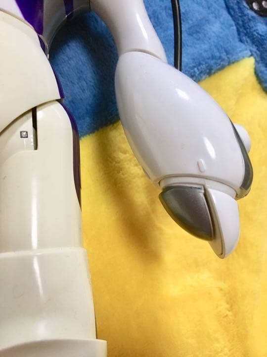 フェミサピエン