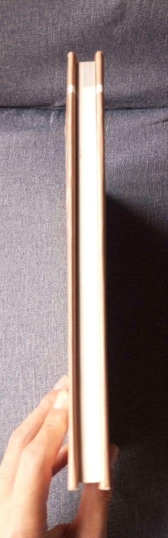 中級MRT仙骨無痛療法 初版