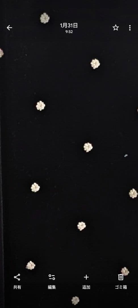 大人気完売品✨️B.C STOCK　手洗い可 / ベロアフラワー刺繍ワンピース