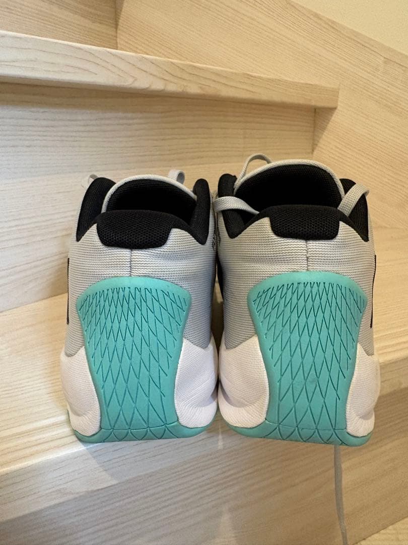 Jordan Air Jordan バスケットシューズ 美品