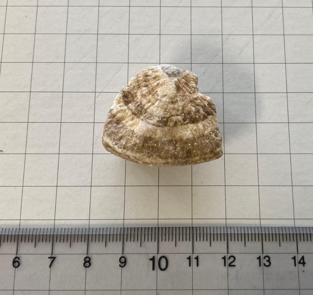 ★秋田発『北投石』５０グラム 100%本物!! 秋田玉川温泉産✨