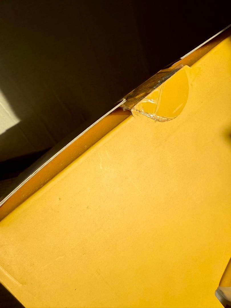 鍋*様 【箱傷み大の未開封品】ラインフレンズ　サリーぬいぐるみ