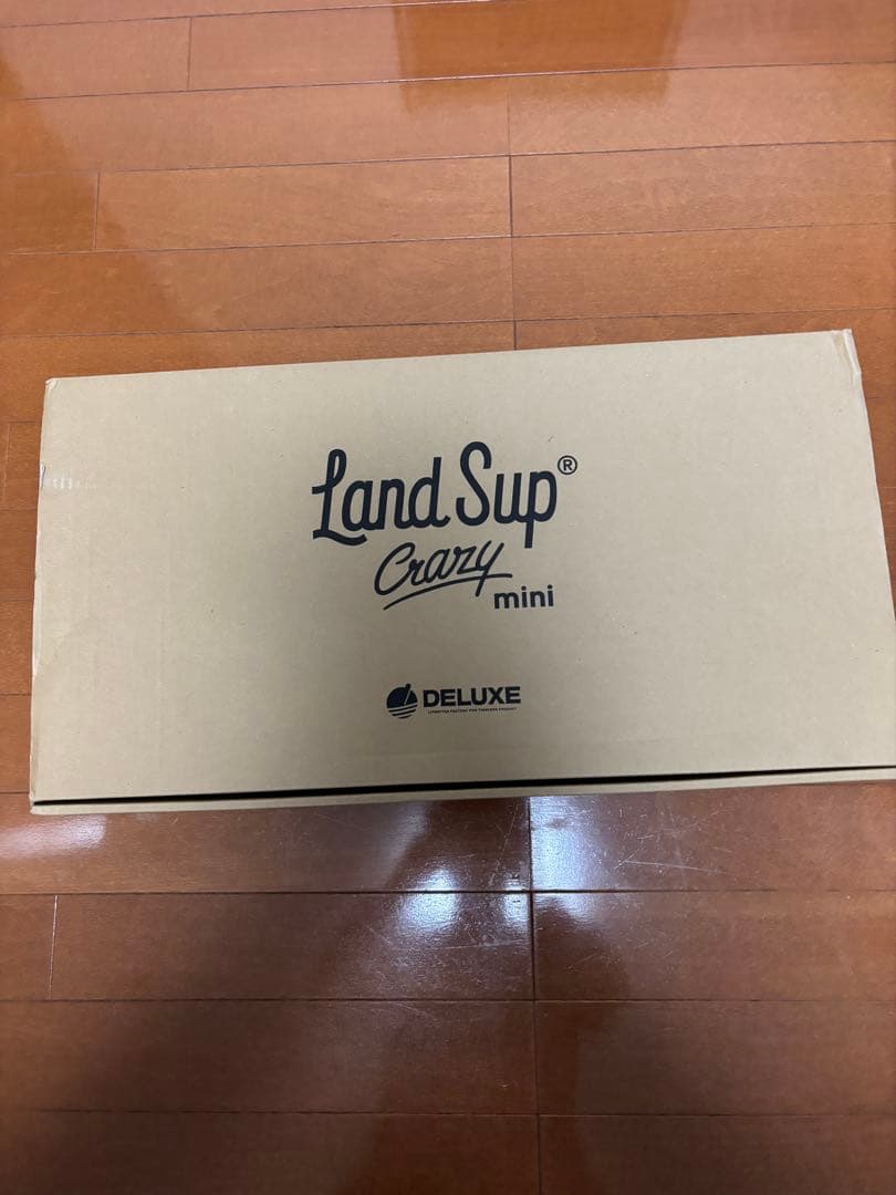 LandSup Crazy mini バランスボールセット　ランドサップ　体幹