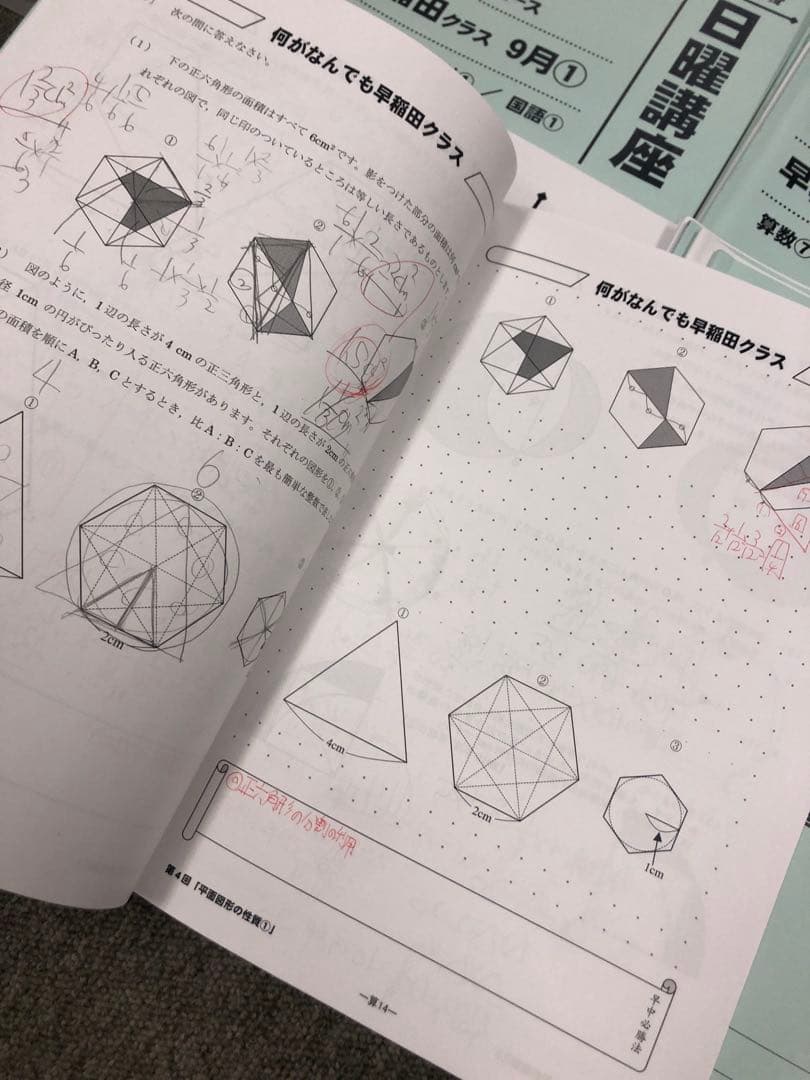 早稲田アカデミーNN早稲田　日特/前期後期/夏期/正月/副教材2024