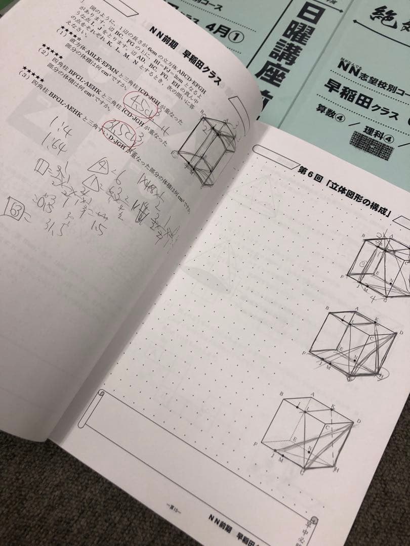 早稲田アカデミーNN早稲田　日特/前期後期/夏期/正月/副教材2024