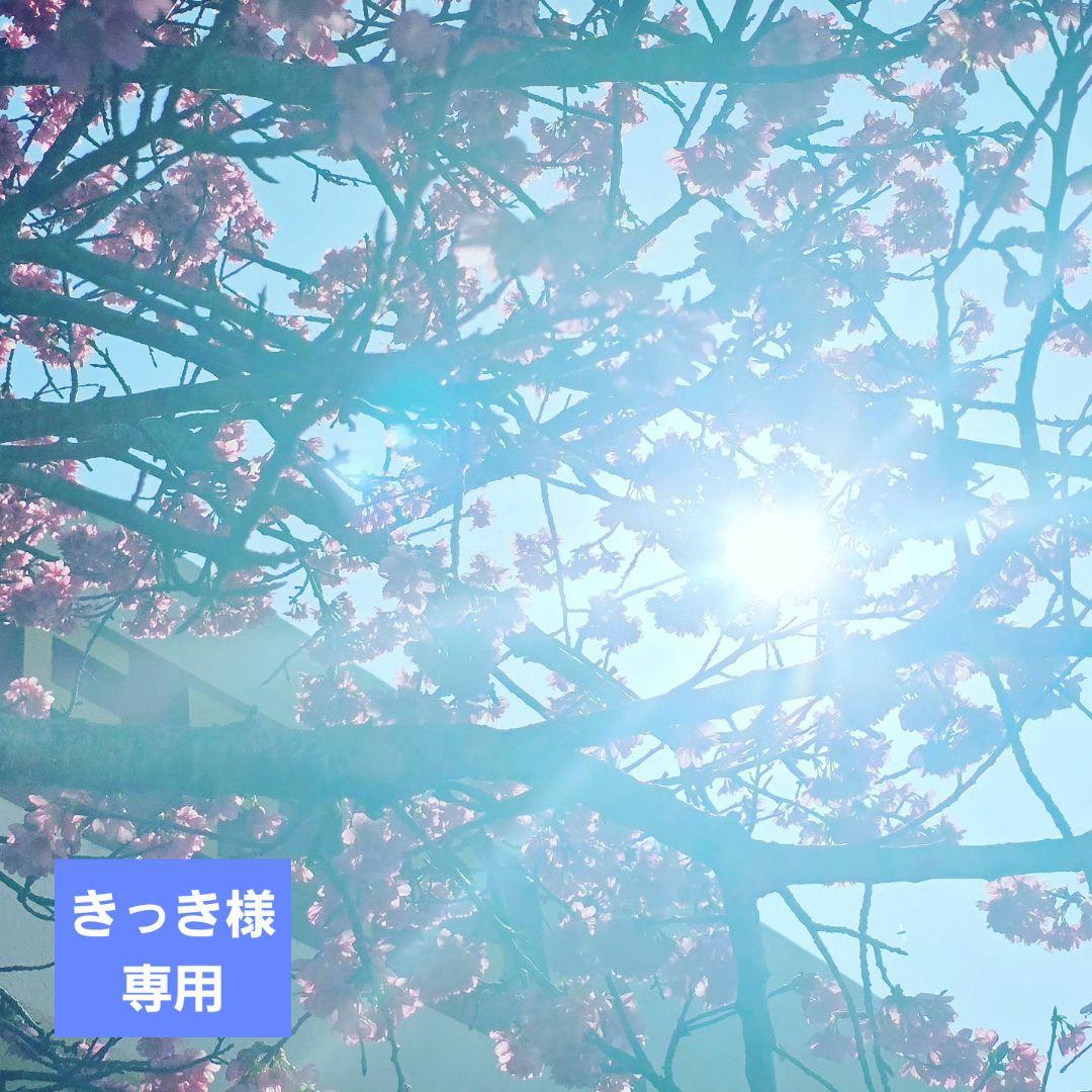 【新品未使用】コタアイケア シャンプー&トリートメント ⑨ 750