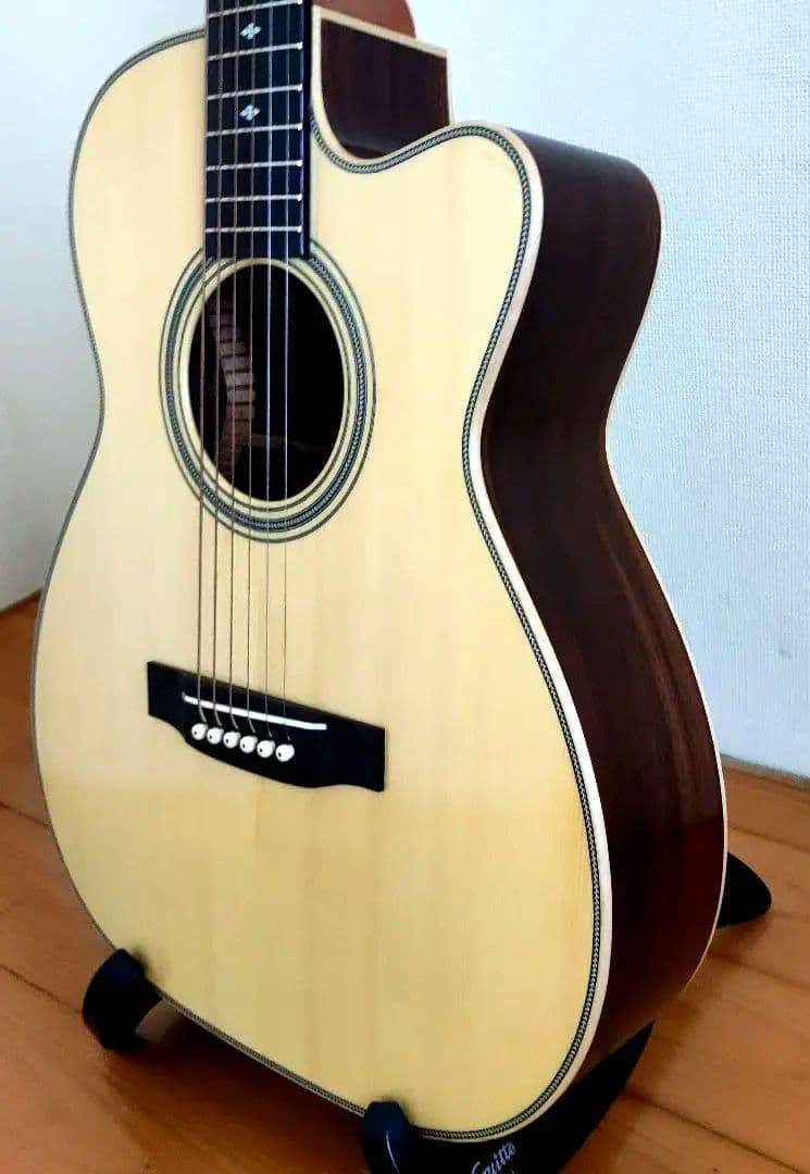 【限定特価】アストリアス ソロ ヘリンボーン セミハードケース+弦2セット