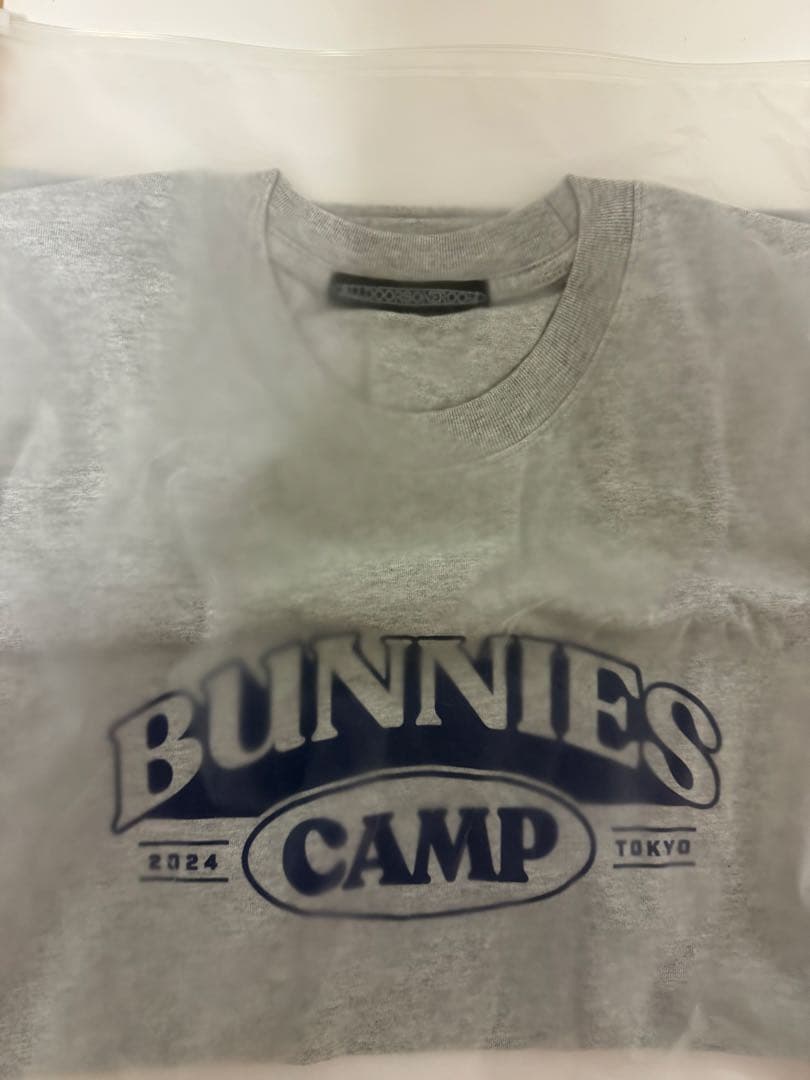 ニュージーンズ　newjeans トッキ bunnies まとめ売り