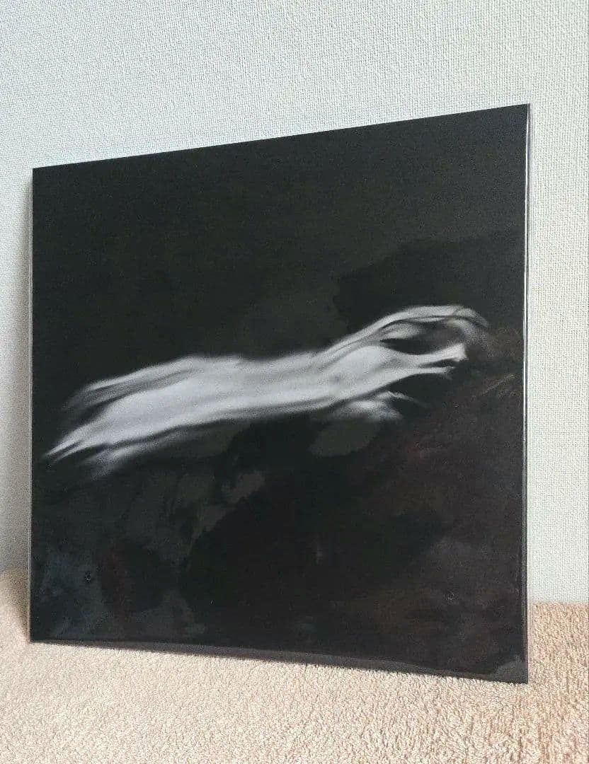 DIR EN GREY 落ちた事のある空 ぴあアリーナMM特別仕様 CD＋DVD