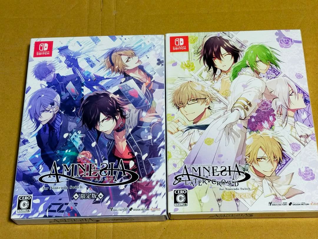 【Switch限定版2個】アムネシア AMNESIA レイター×クラウド