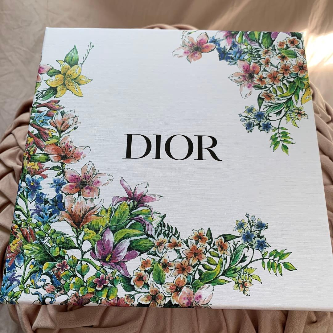 DIOR リップアディクト＆ケースギフトセット