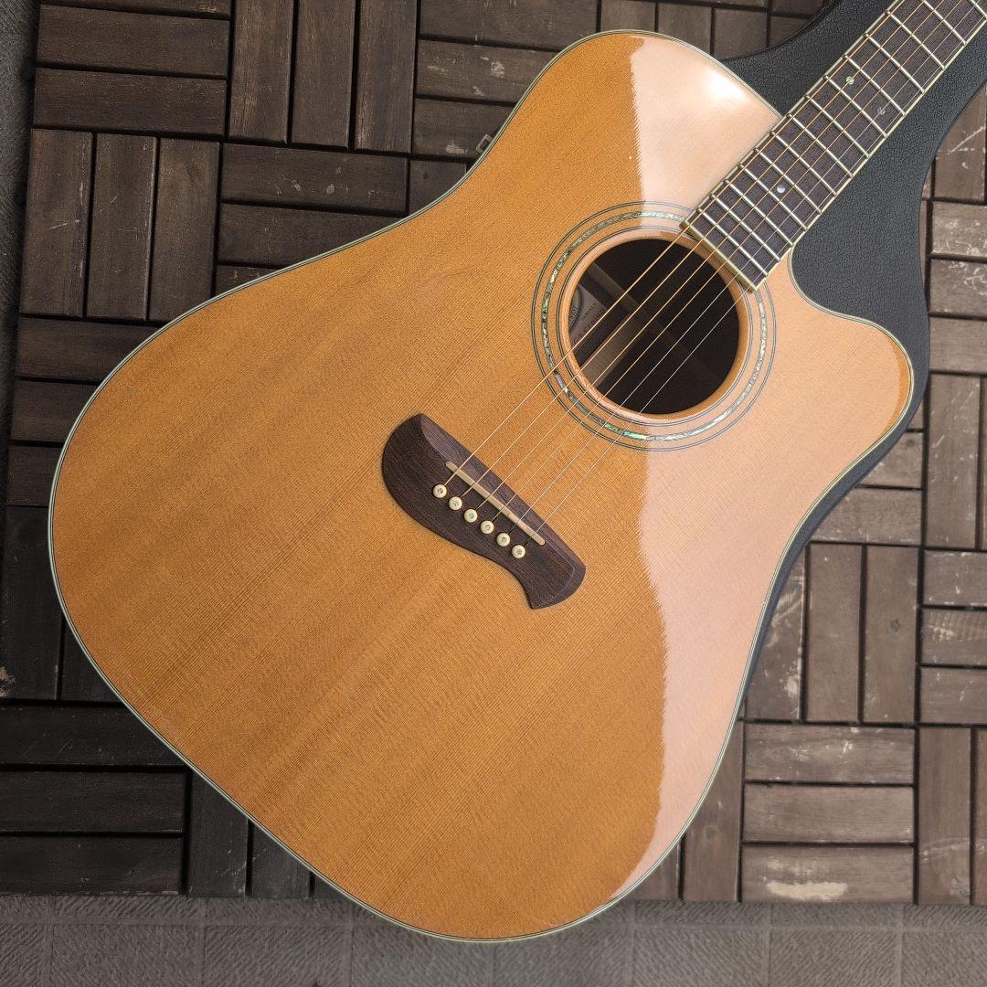 TACOMA 全単板 USA製 DR16C ナチュラル 塗装に難有り！