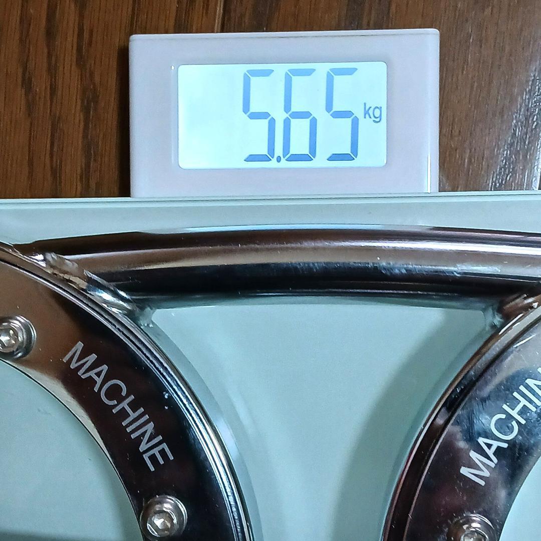 バーンマシン スピードバッグ 5.5kgモデル トレーニング 筋トレ