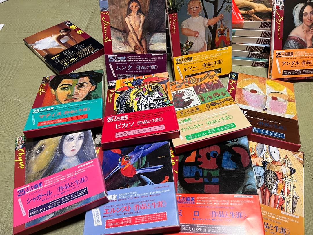 現代世界美術全集25人の画家 アートコレクション全巻セット