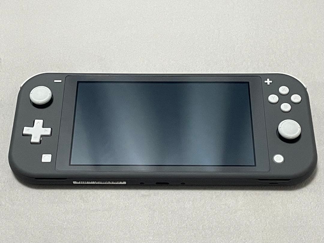 Nintendo Switch Lite グレー＆未使用画面保護フィルム