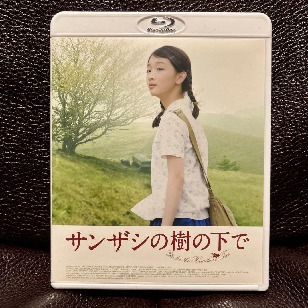 サンザシの樹の下で('10中国)