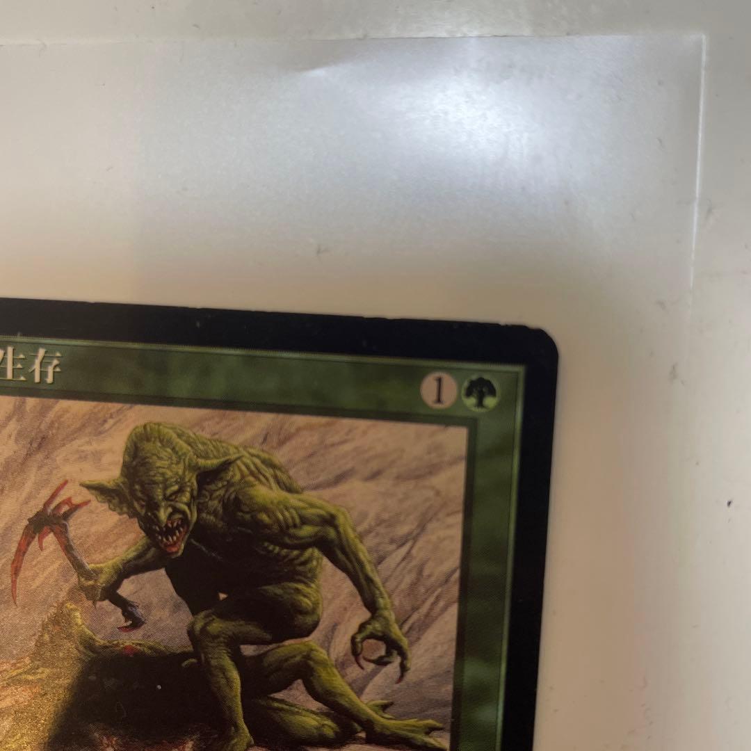 Magic: The Gathering 適名生存