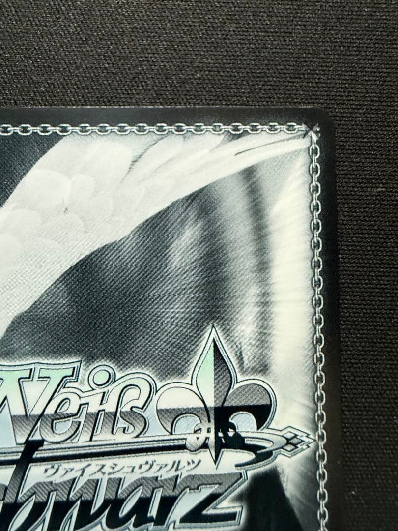 芽生えた信頼　中野五月　SSP