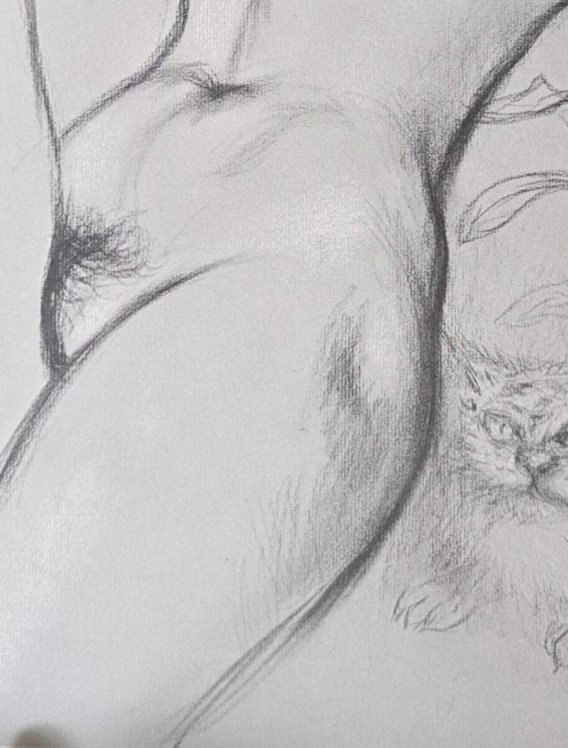 古沢岩美、「花と猫と女」、厳選、希少画集・額装画、限定800部