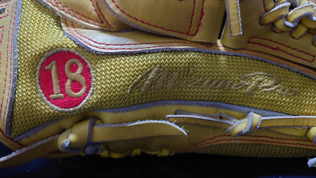 ミズノプロ　軟式投手用オーダーグラブ