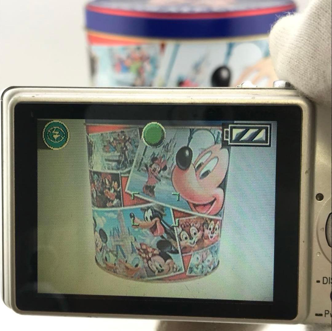 実写美⭕️【動作確認済】パナソニック LUMIX DMC-FX7 シルバー