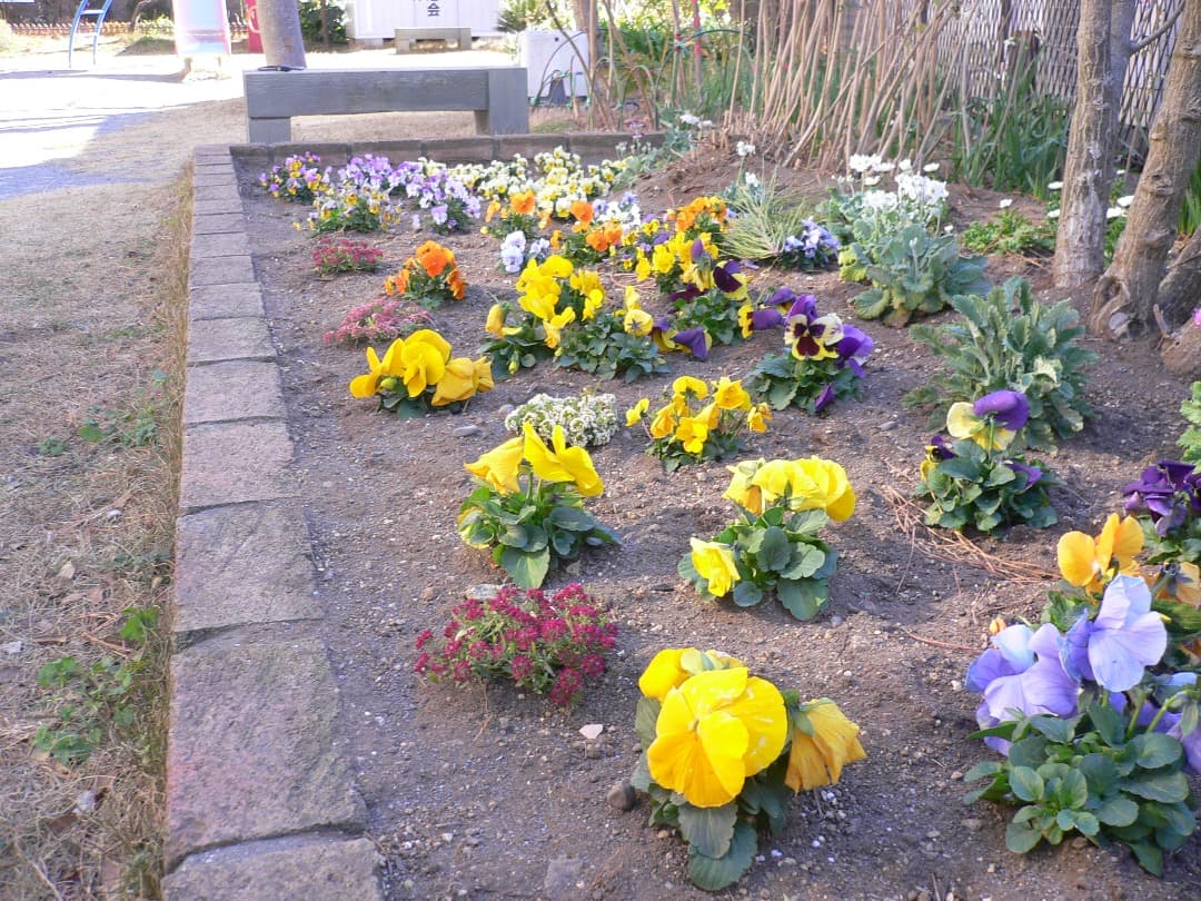 実写美⭕️【動作確認済】パナソニック LUMIX DMC-FX7 シルバー