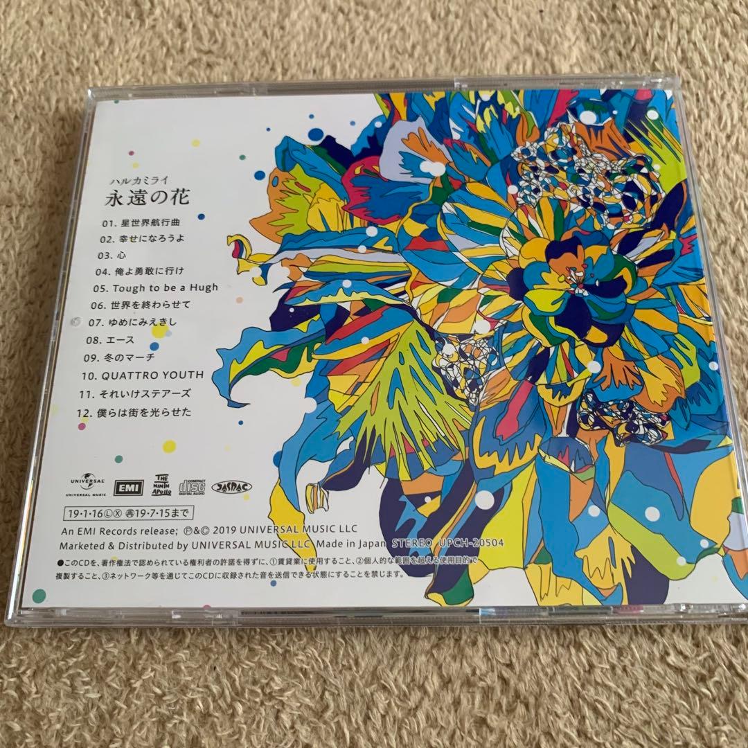 ハルカミライ　CDセット