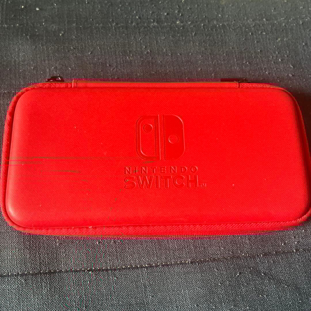 Nintendo Switch Lite コーラル　ピンク　充電器