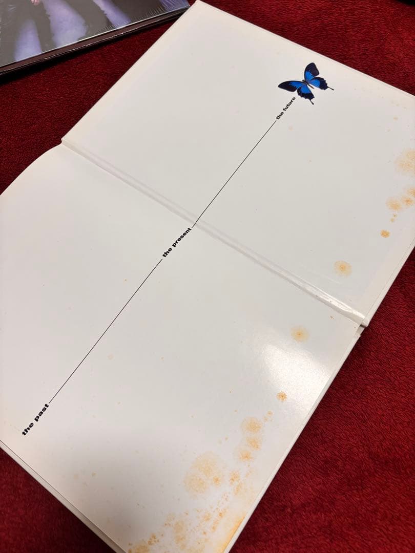 THE ALFEE 写真集　まとめ売り