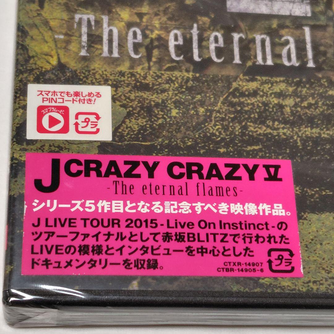 激レア！2枚組☆DVD J CRAZY CRAZY V5小野瀬潤LUNA SEA