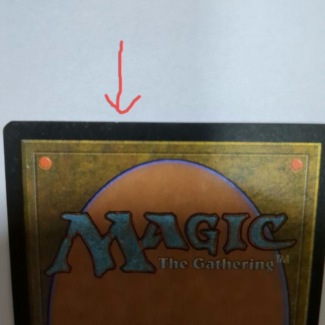 MTG 適者生存（２枚セット）　英語版２枚