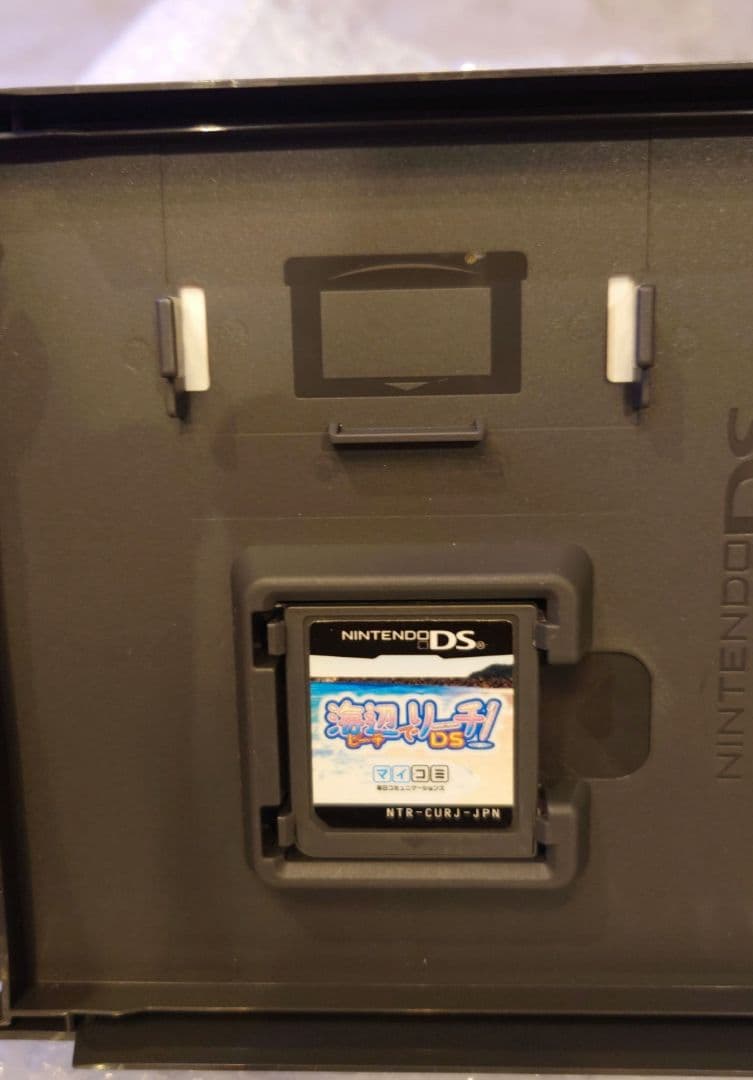 Nintendo 海辺でリーチ! DS版